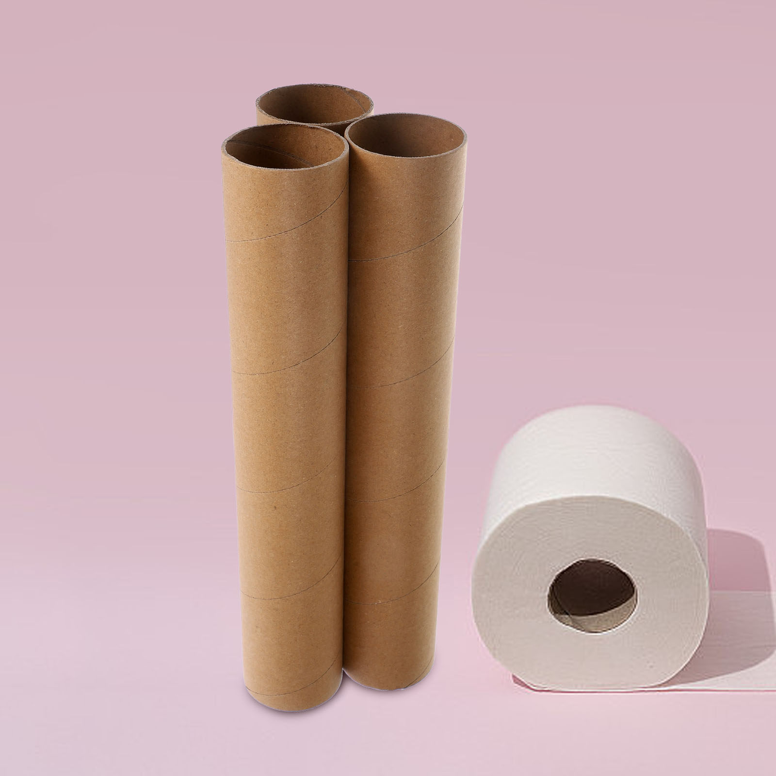 Art Craft Youtube - 3 tubos de papel em branco